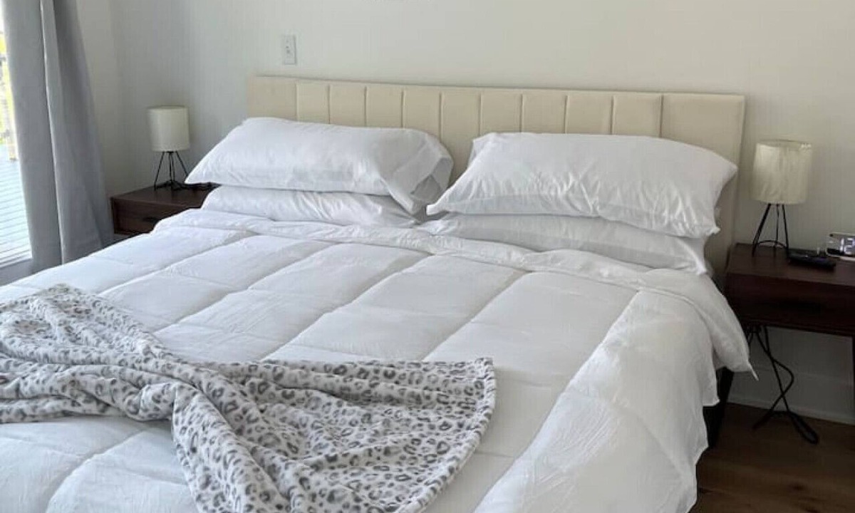 Langdon Bed & Breakfast | 1 Bedroom Luxury DC Experience