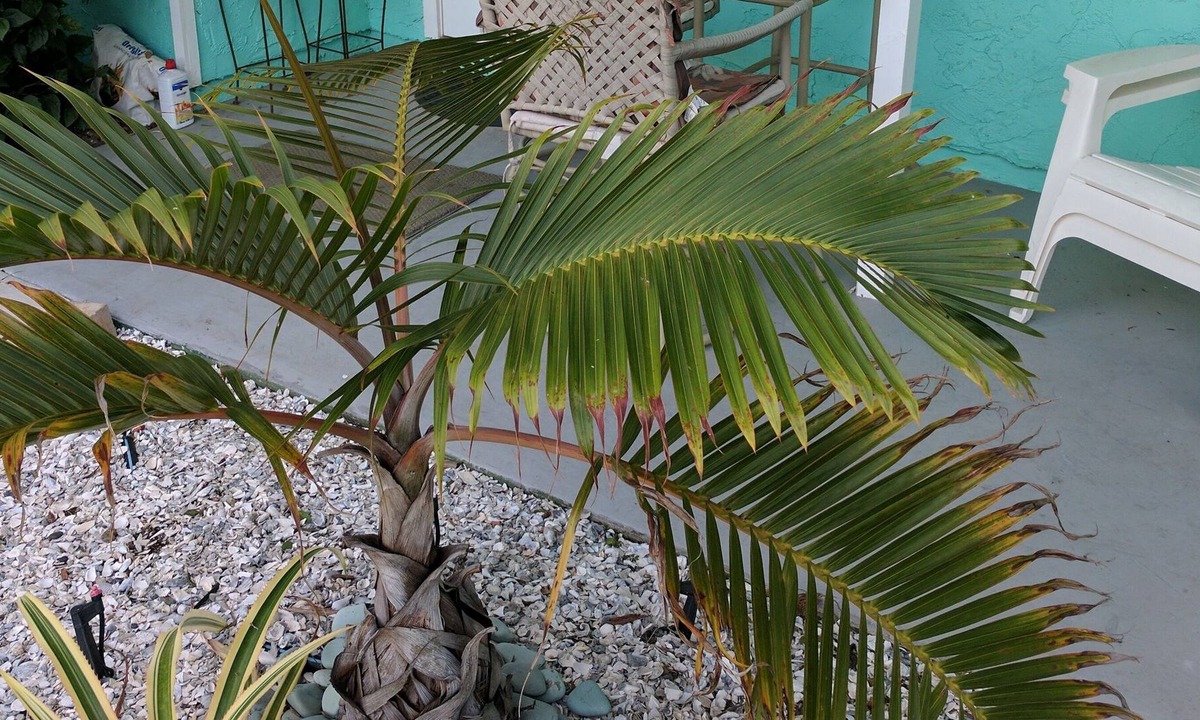 Whitney Beach Villa | ADORABLE LOW COST PRIVATE 1BR VILLA- 1.5 blocks to BEACH- at GREAT prices!!