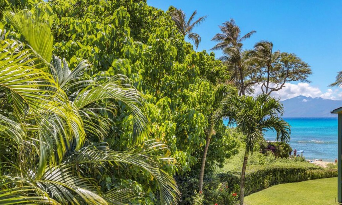Aloha Napili Bay Resort Beach | Napili