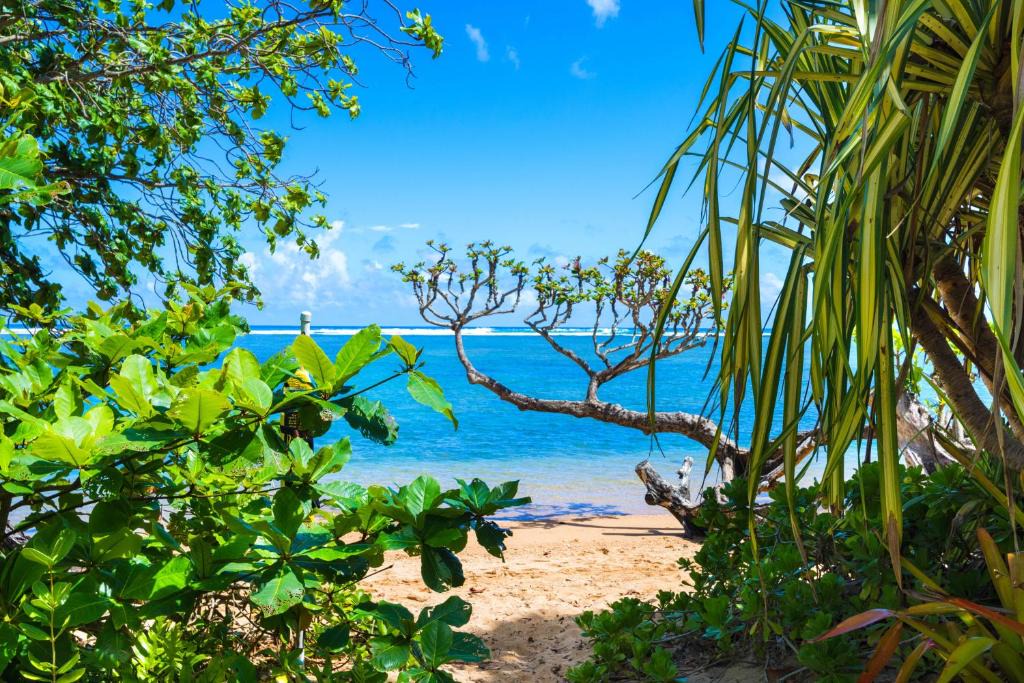 Kilauea House | Anini Ohana Hale TVNC#4255