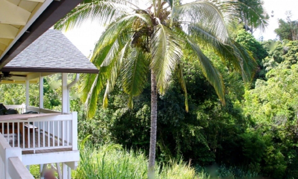 Pauwela House | Bamboo View Suite 2bd 1bth At Bamboo Valley Inn