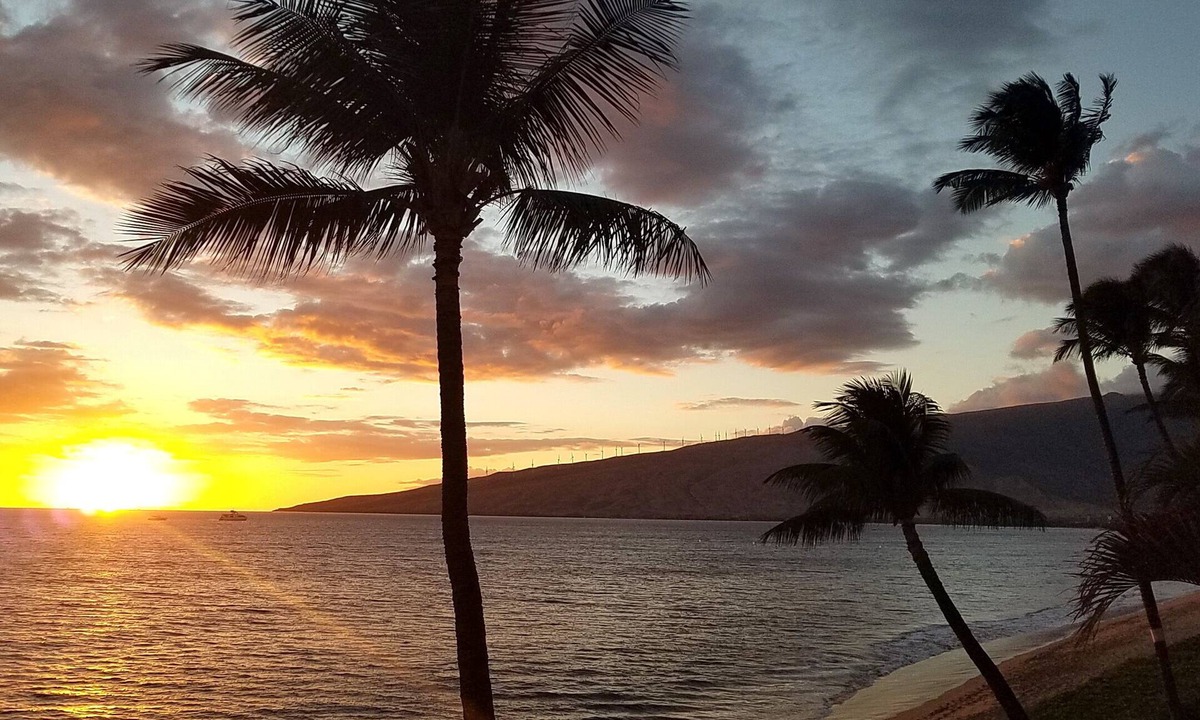 Kihei Condo | Beachfront Unobstructed Ocean View, 3rd Flr End Unit 310, AC Wi-Fi Streaming TVs