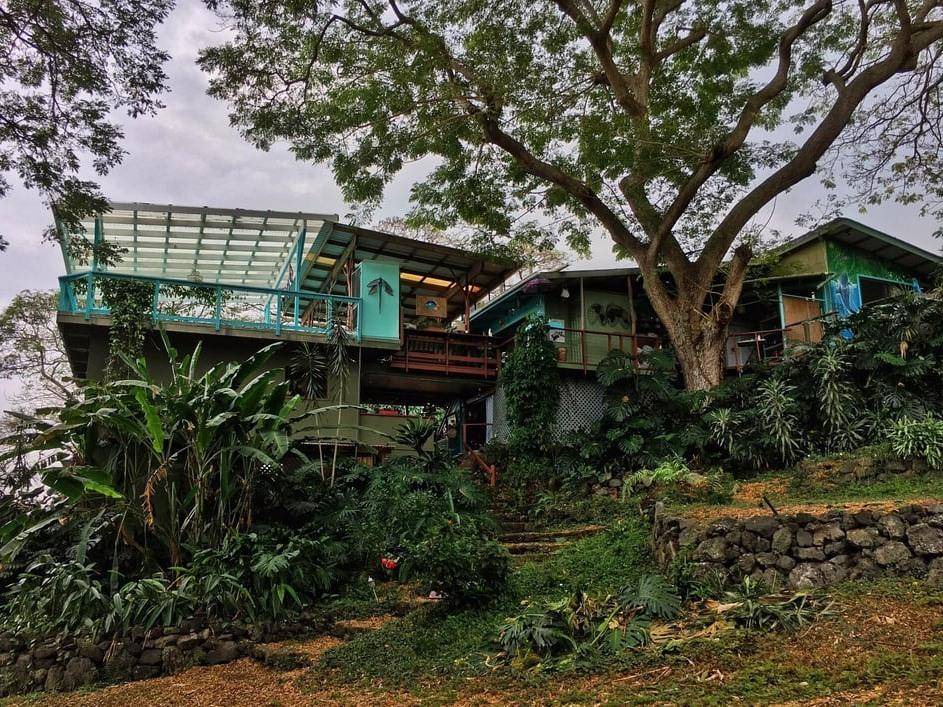 Honaunau-Napoopoo Bed & Breakfast | Bed and breakfast ∙ 3 bedrooms ∙ 6 guests
