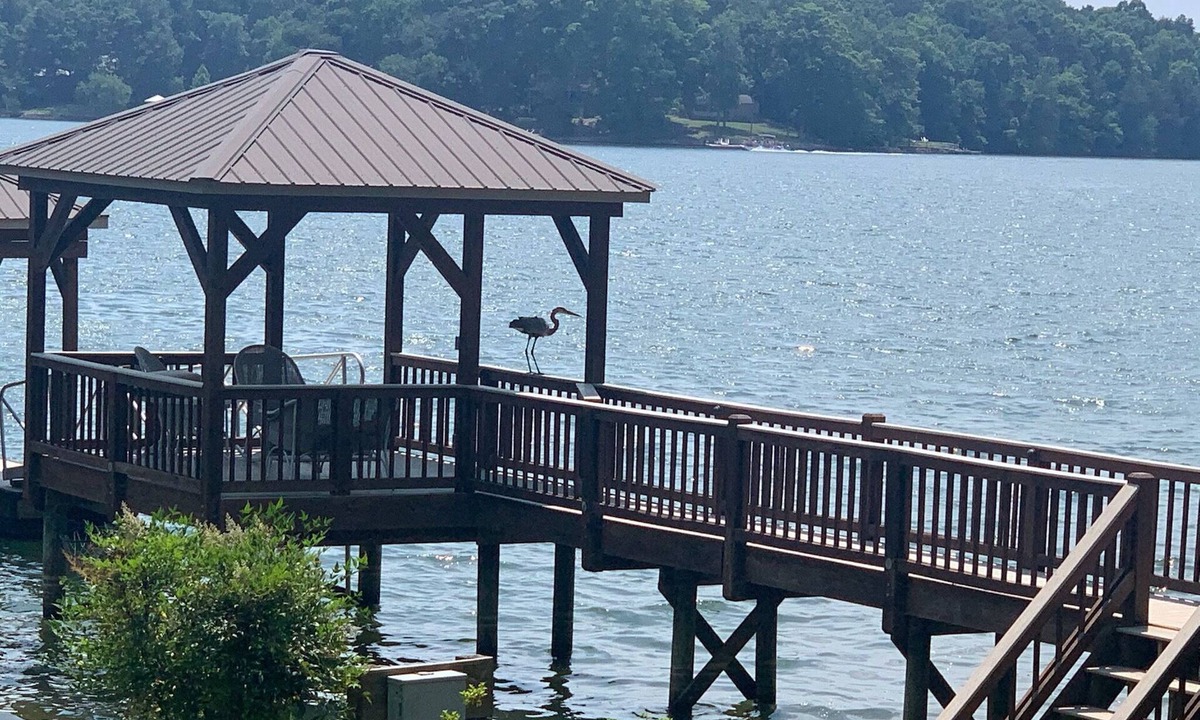 Terrell House | Blue Heron Hideaway