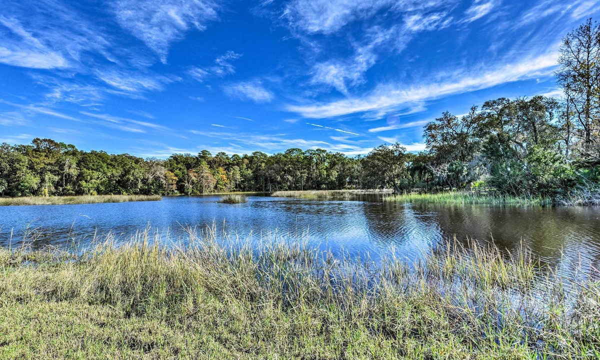 Jacksonville House | 'Brookside' Waterfront Home w/Kayaks & Deck!