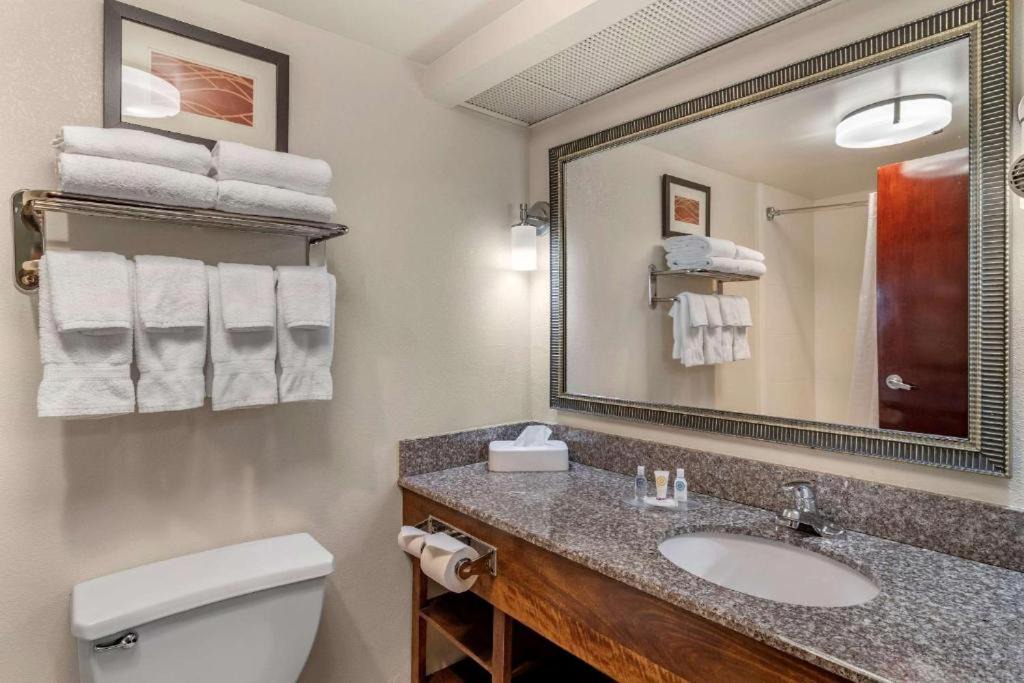 Athens Hotel | Comfort Inn & Suites Athens North