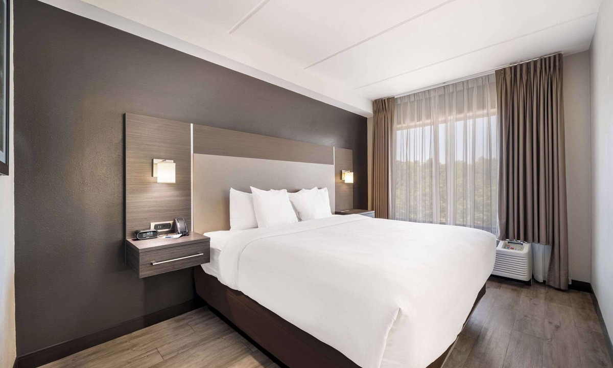Paw Creek Hotel | Comfort Suites Northlake