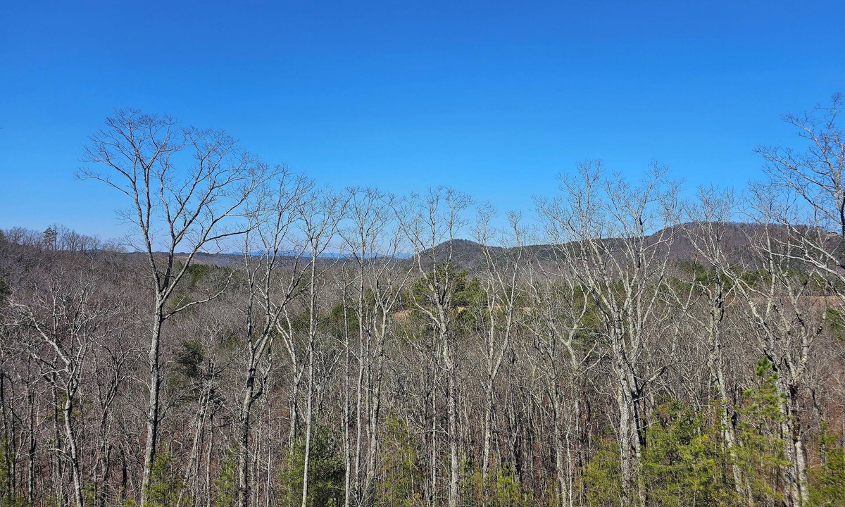 Talking Rock Apartment | Cozy Apartment in Tranquil Talking Rock. New Listing!