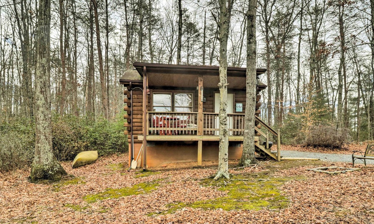 Keene Apartment | Cozy Virginia Cabin Rental - Dogs Welcome!