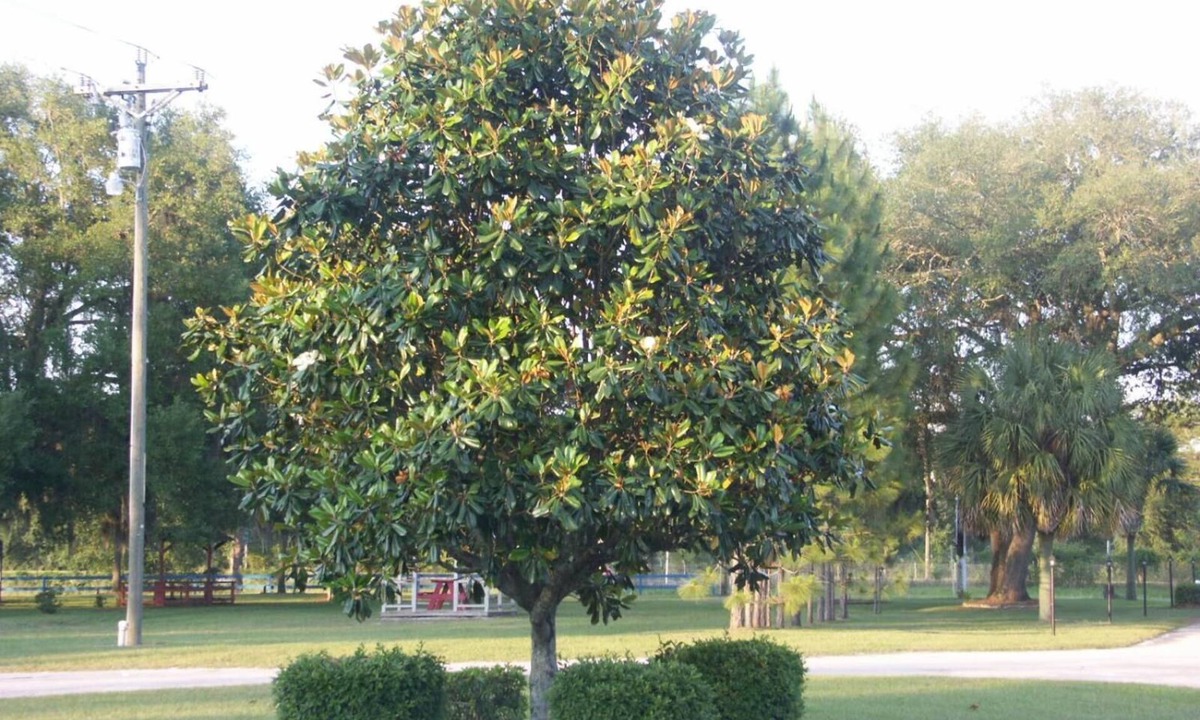 Madison Hotel | Deerwood Inn and Madison Campground