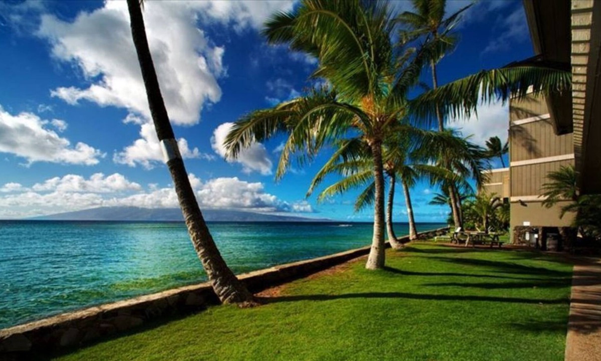 Kahana Apartment | Deluxe Oceanfront Studio In Kahana!! Amazing Views, Ground Floor Unit #112