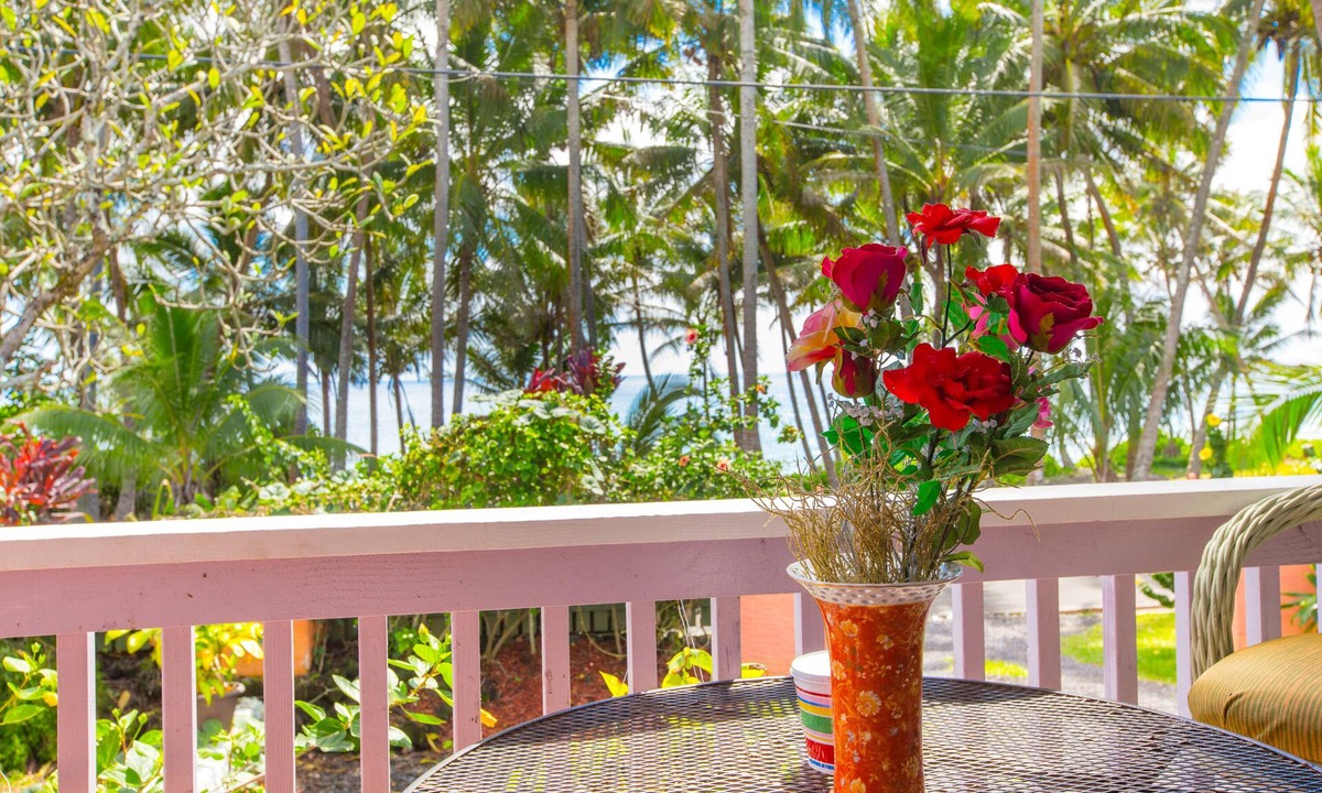 Kehena Beach Estates Cottage | Dolphin Cottage w/AC @ Kehena Beach, Hawaii