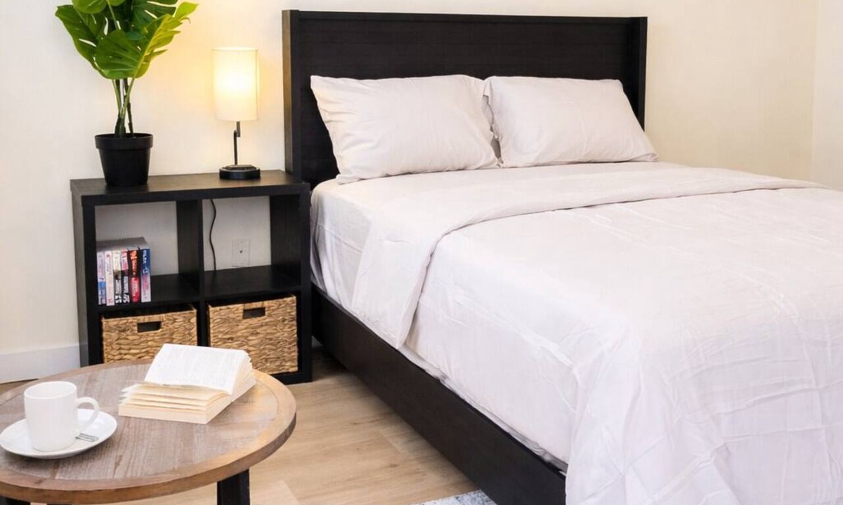 Downtown Baltimore Apartment | Downtown - Entire Apartment - 2 Bedrooms, 1 Bath