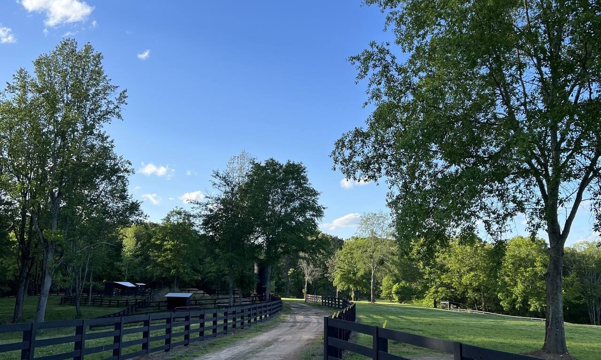Cumming House | Escape to Our Serene Farm Cabin, Surrounded by Beautiful Rolling Pastures!