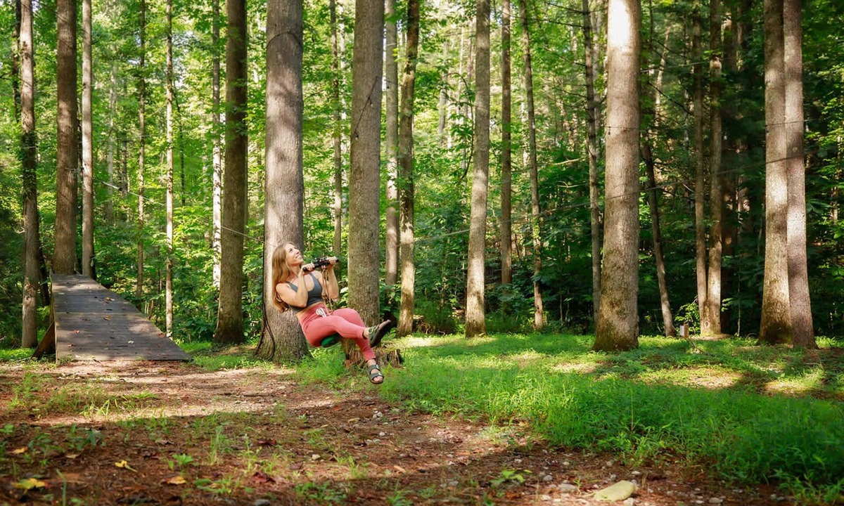Saluda Cabin | Ever After Escape at Saluda Grade Cabins!