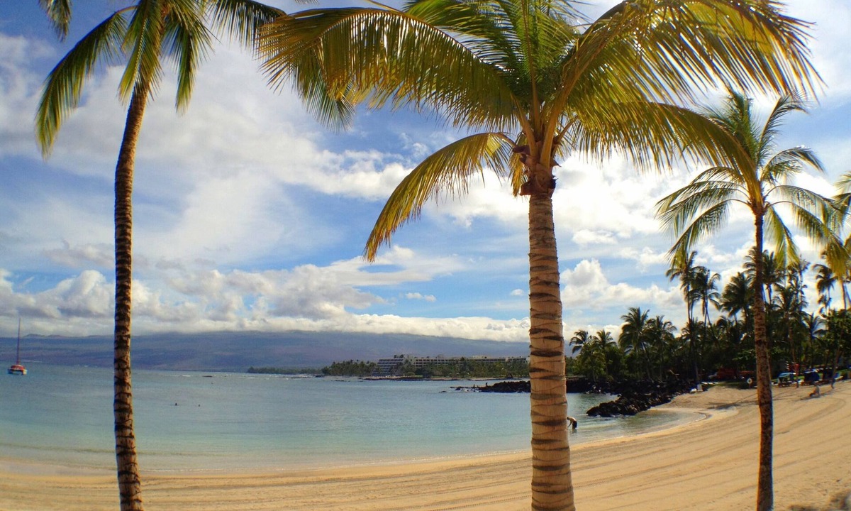 Kamuela House | Fall in Hawaii! See Our Location!.Read Our Reviews!.So Many Extras!