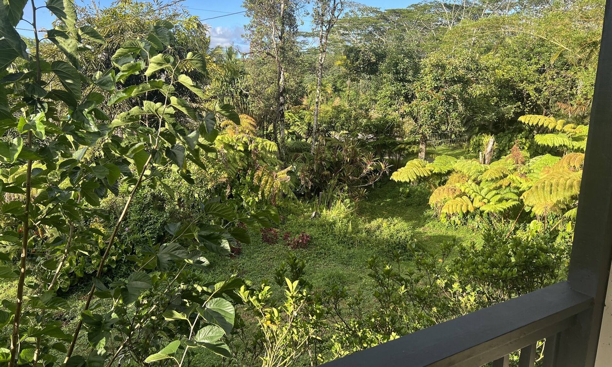 Keaau House | Family friendly, centrally located 2lvl home with epic furniture and fruit trees