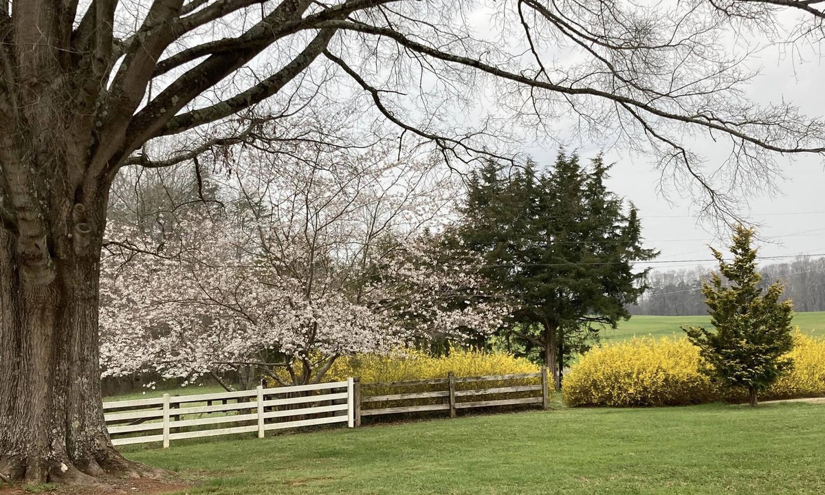 Mocksville Apartment | Farmhouse Charm in Historic Mocksville NC - a small town favorite.
