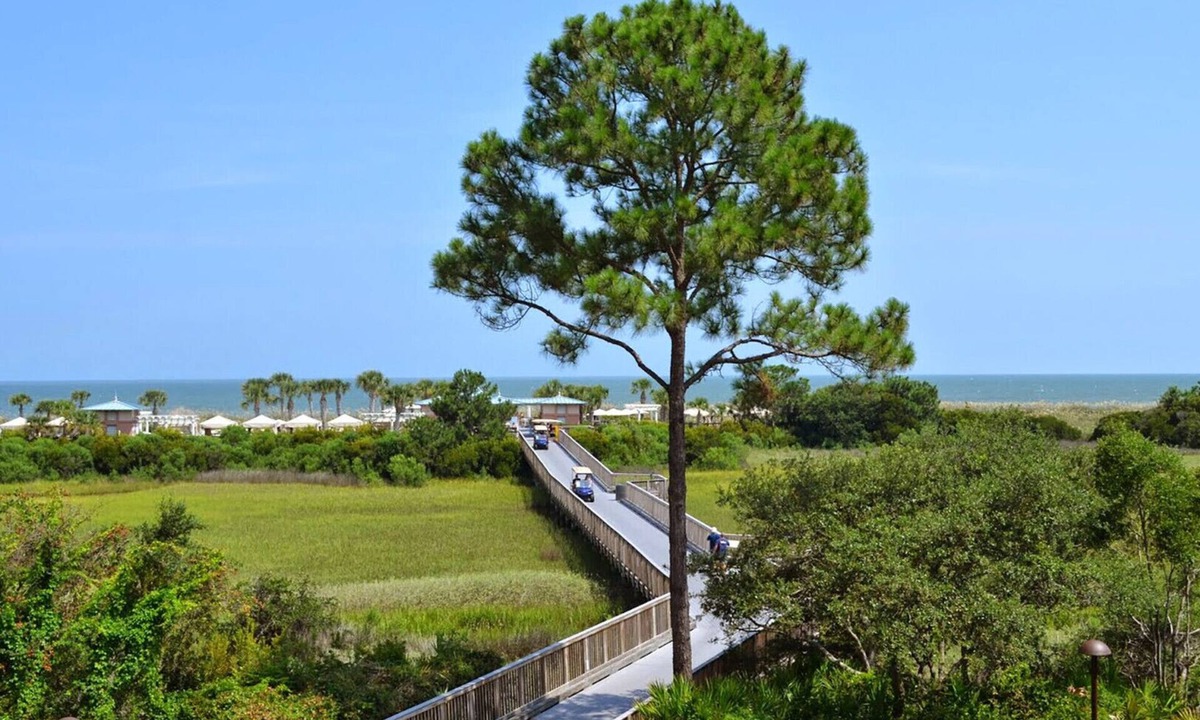 Palmetto Dunes Resort | Garden View - 2 Bedroom - Marriott's SurfWatch - Full Resort Access