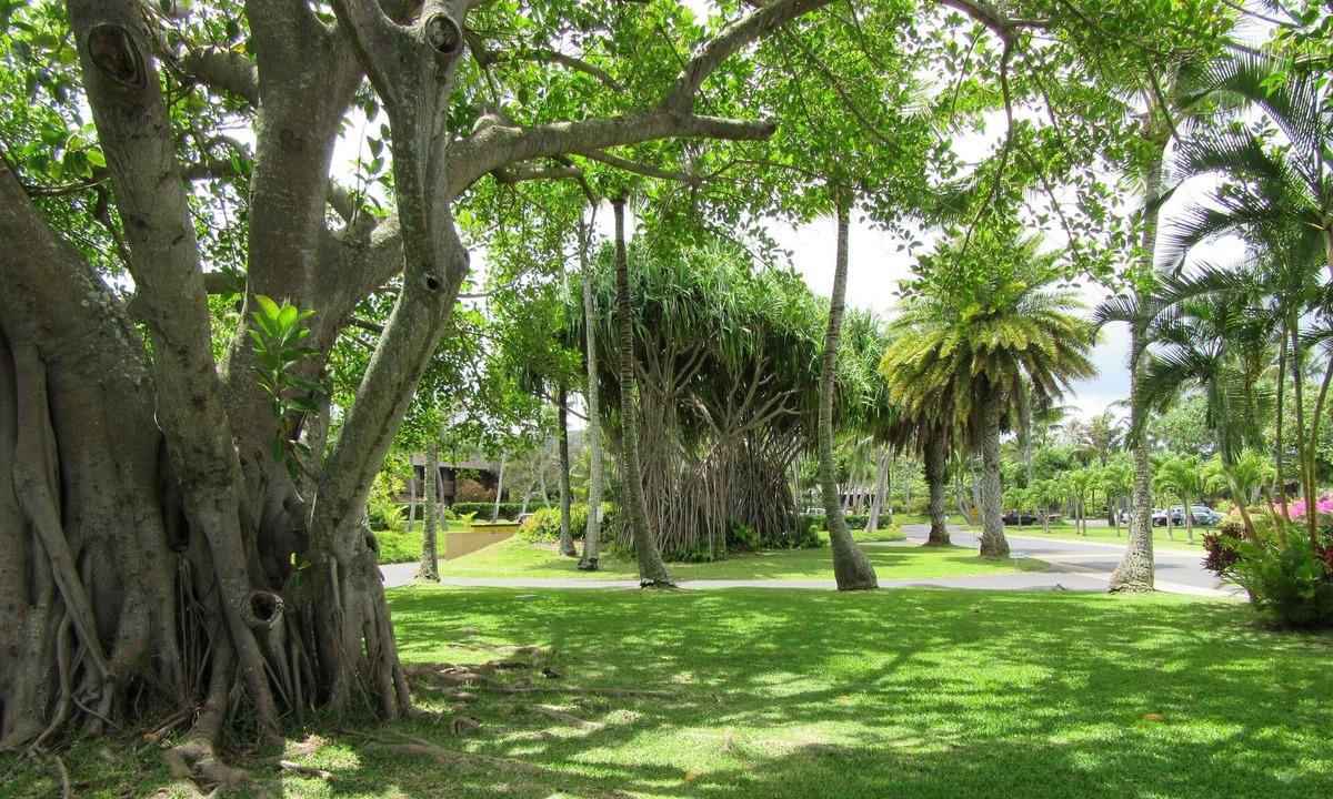 Kahuku Condo | Great Rates! 1-bedroom condo, pools, walking distance to beautiful beaches.