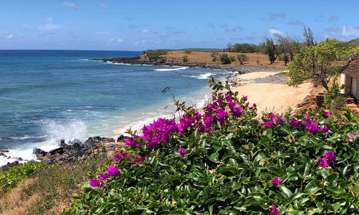 Ualapue Apartment | High-end Resort Condo Nestled on Molokai Shoreline