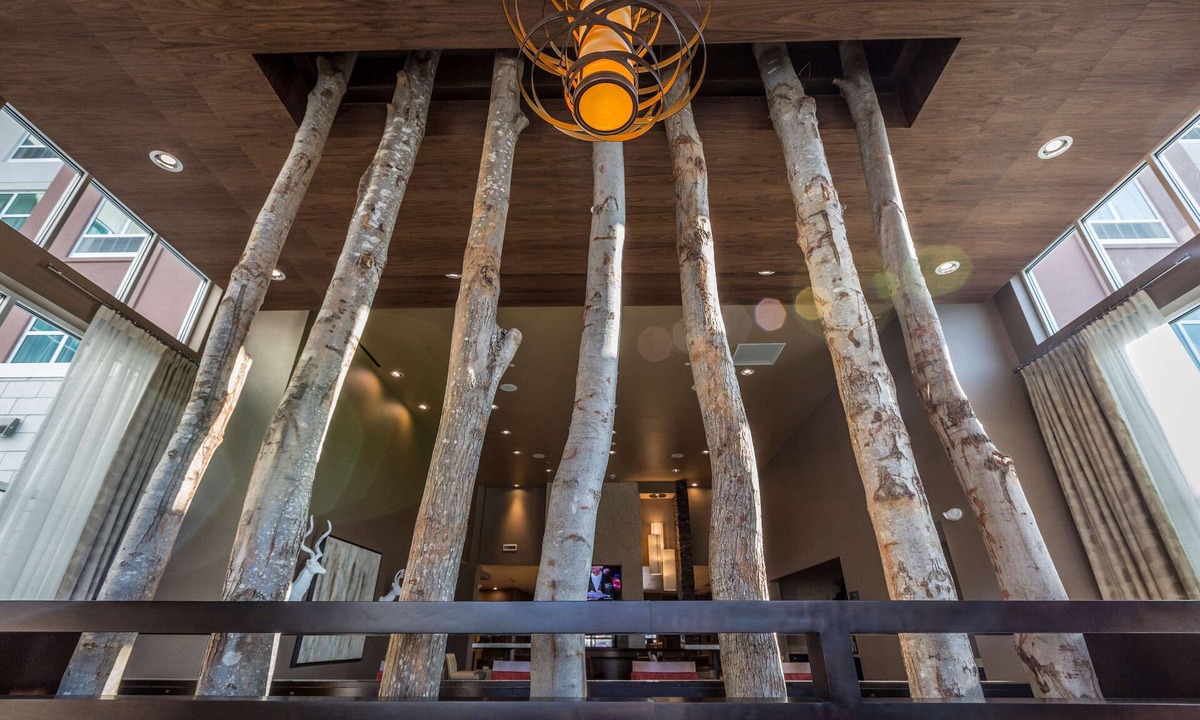 Charlotte Hotel | Homewood Suites by Hilton Charlotte Ballantyne, NC