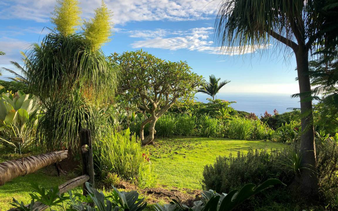 Kealakekua Hostel | Hostel ∙ 8 guests