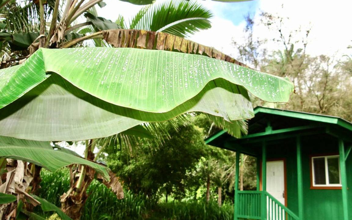 Pahoa House | House ∙ 1 bedroom ∙ 4 guests