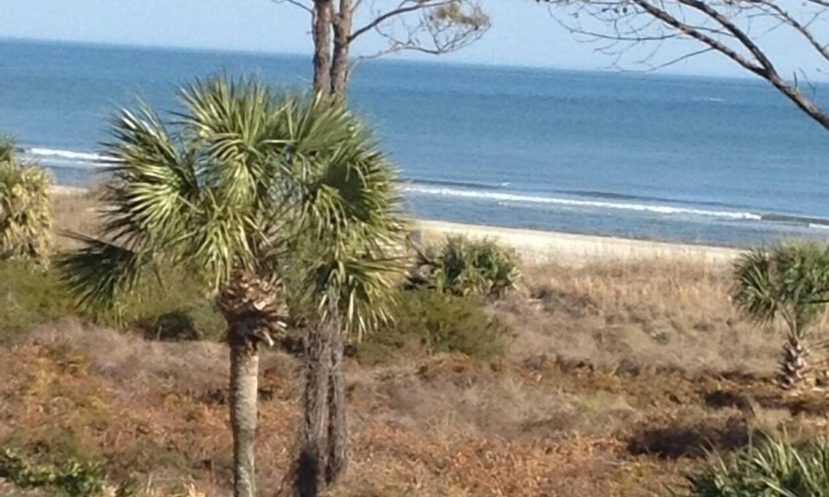 Hilton Head Island Condo | Huge Ocean View,central air,elevator,pool,WIFI,one bedroom