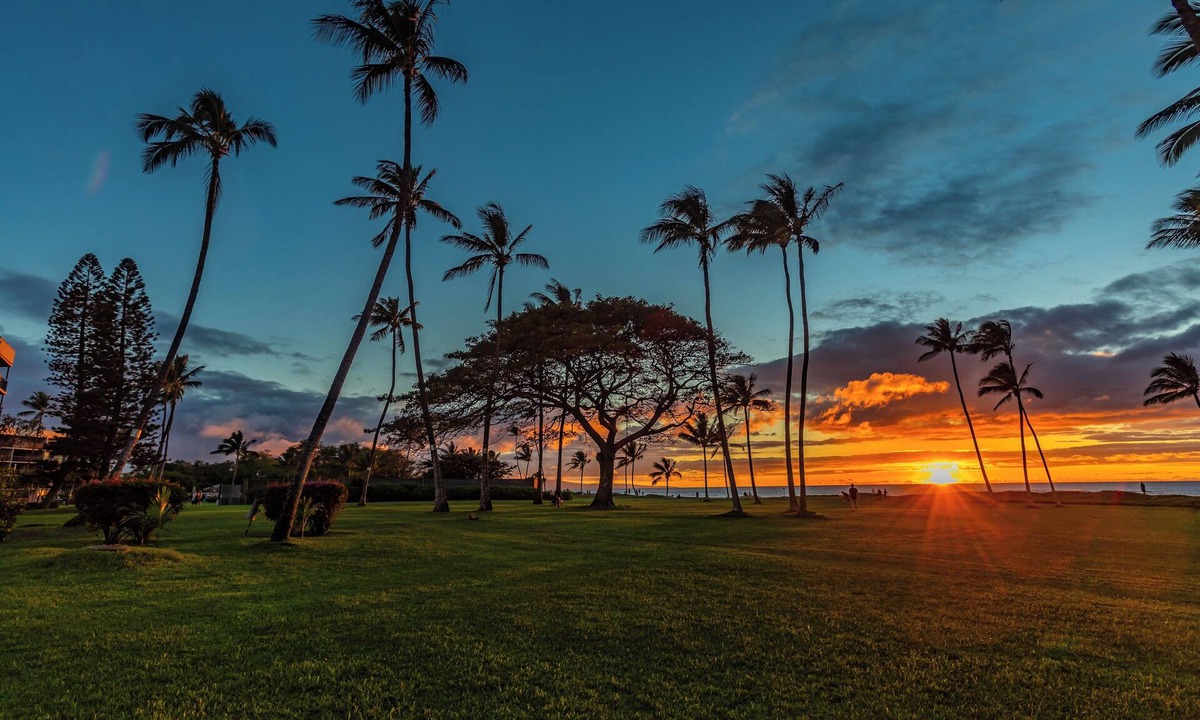 Leinaala | Kihei