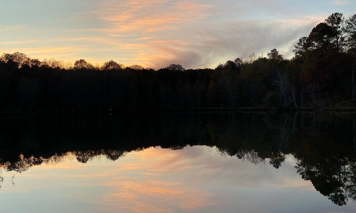 Eatonton Cabin | Log Cabin on 5 acre pond - fishing and wildlife paradise!