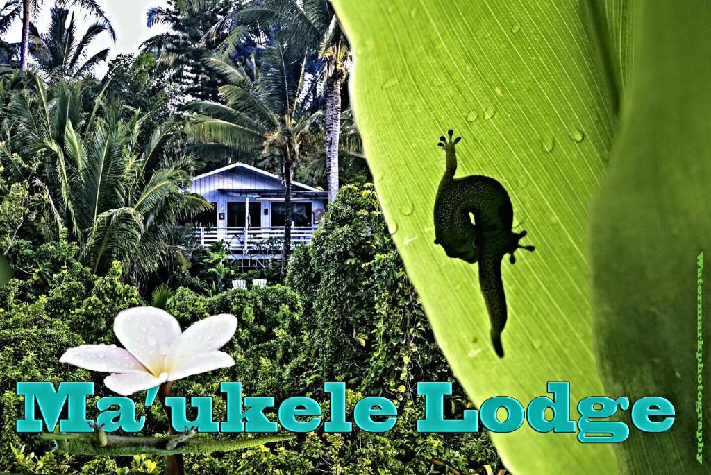 Kalapana Bed & Breakfast | Ma'ukele Lodge