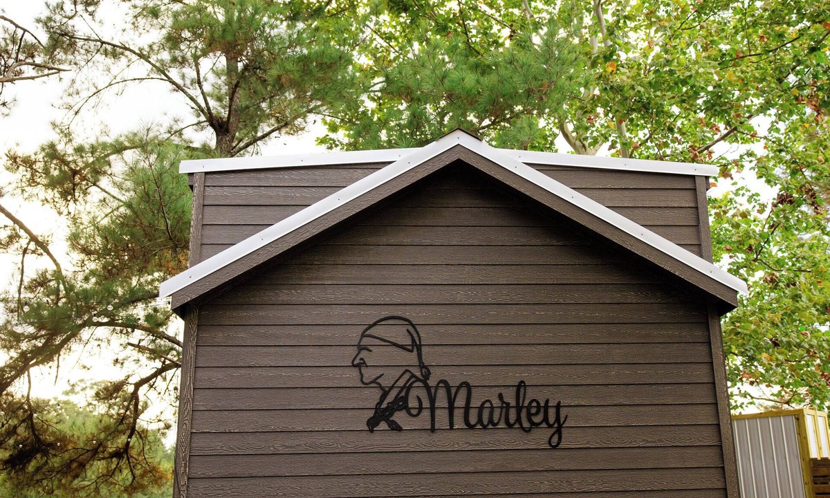 Cairo Cabin | Marley: Cozy tiny cabin on Christmas Tree Farm in South Georgia
