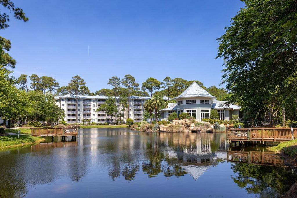 Palmetto Dunes Hotel | Marriott's SurfWatch