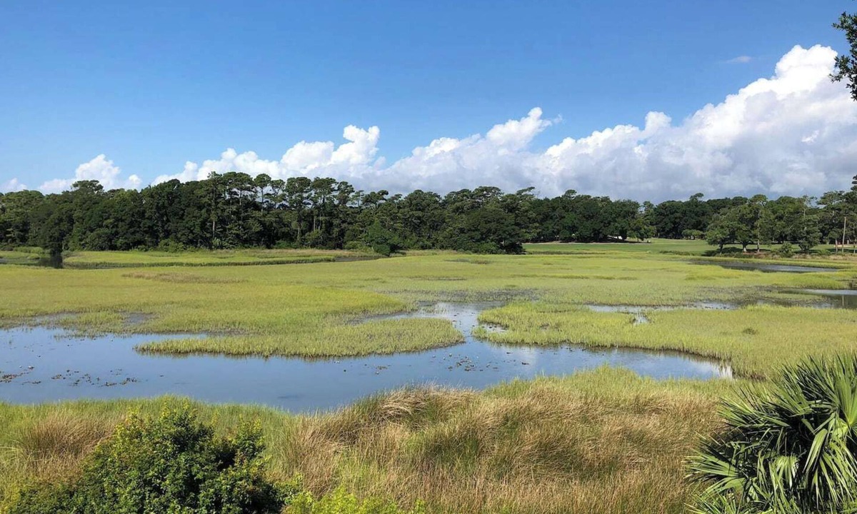 The Dunes Cottage | Marshland Beach Paradise