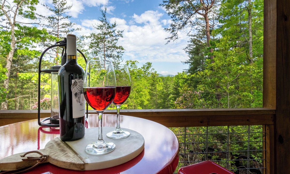Dahlonega Cabin | Modern Cabin, Close to Dahlonega & Wineries, View, Hot Tub, Pet Friendly