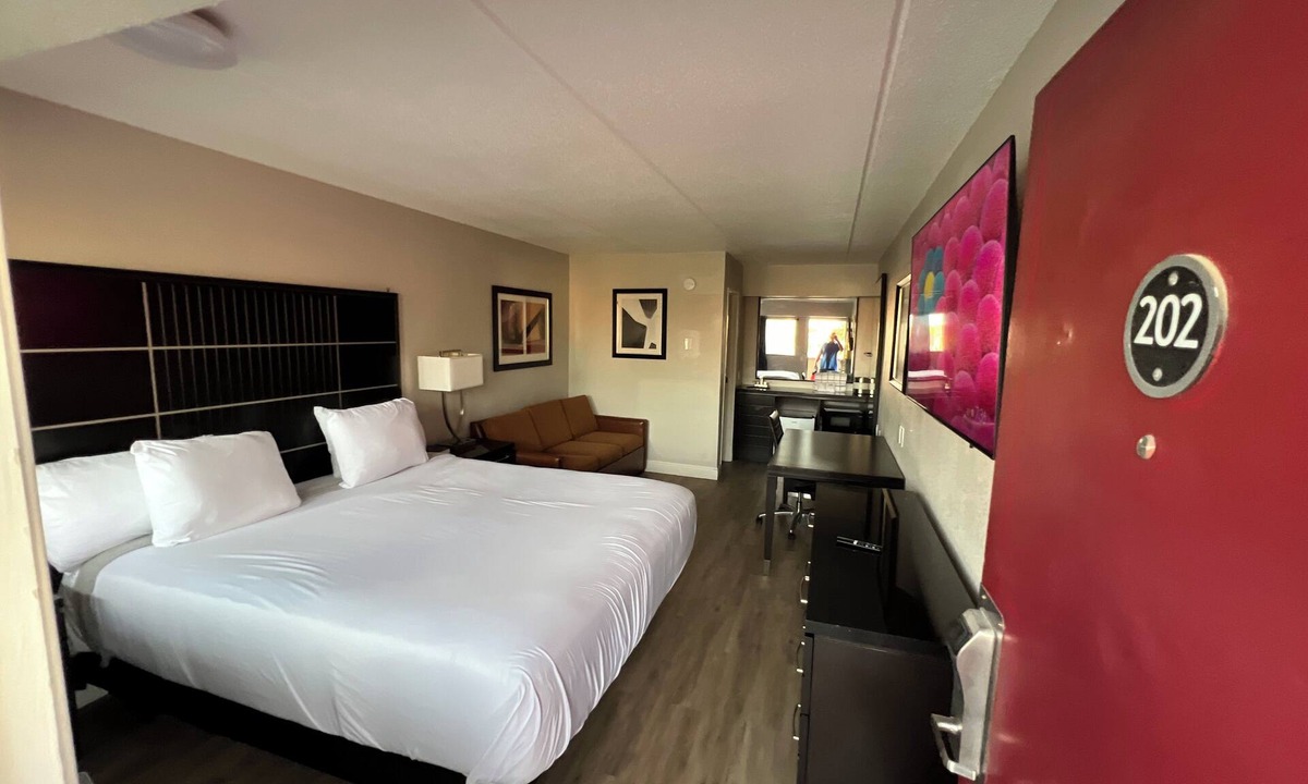 Broadmoor Apartment | Modern Studio with King Bed and Queen Sofa Sleeper In Central Baton Rouge
