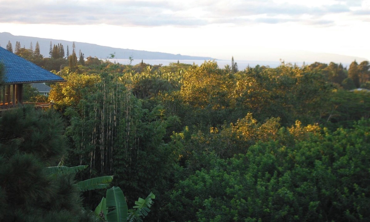 Pauwela House | Mountain to Ocean Views Pole House @ Maui Adventure Villa