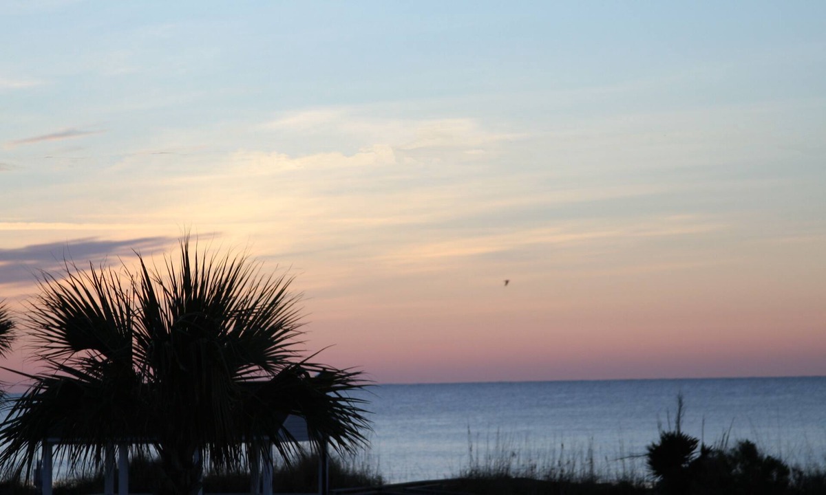 Garden City Cottage | OCEANSIDE VILLAGE FULL OCEAN VIEW with Direct Beach Access!