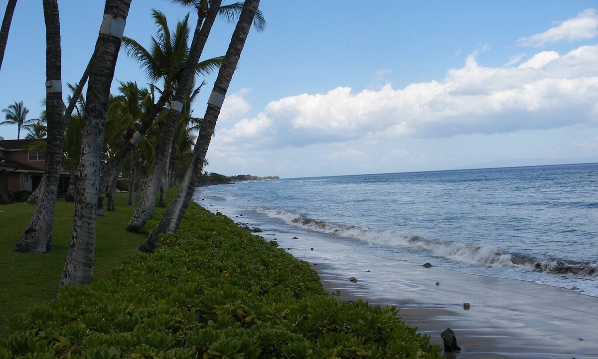 Downtown Lahaina Condo | PUAMANA 2 BR PREMIER UNIT 200 Ft. from Ocean 153-6