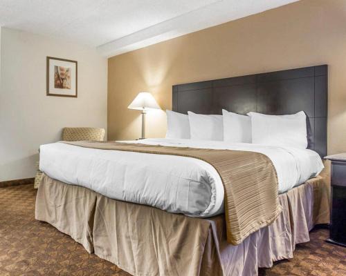 Greensboro Hotel | Quality Inn & Suites Coliseum