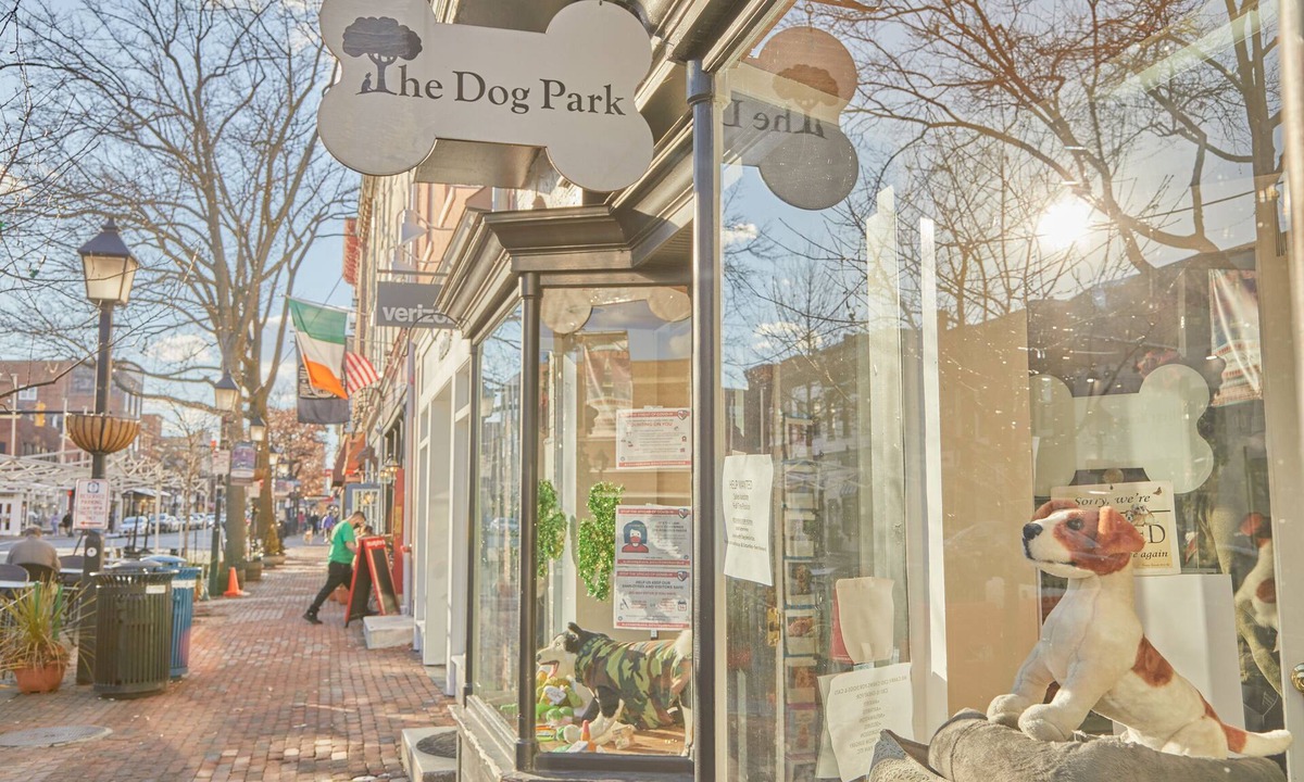 Old Town Alexandria Apartment | Sonder The Grace | Queen Studio Apartment