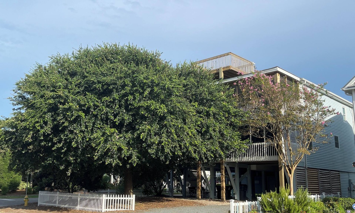 Sunset Beach House | Sunset Beach House Rental - Stella Maris