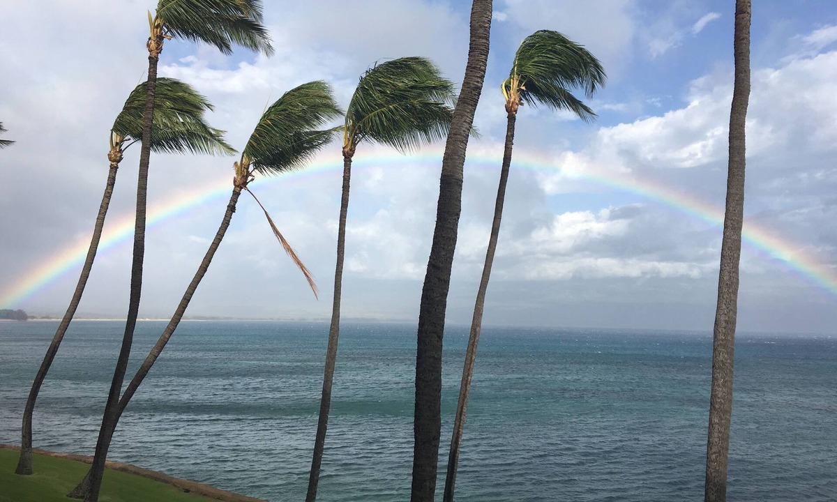 Maalaea Condo | Super Luxury, Direct Oceanfront, 20 yards From Ocean, Whale Watchers Paradise