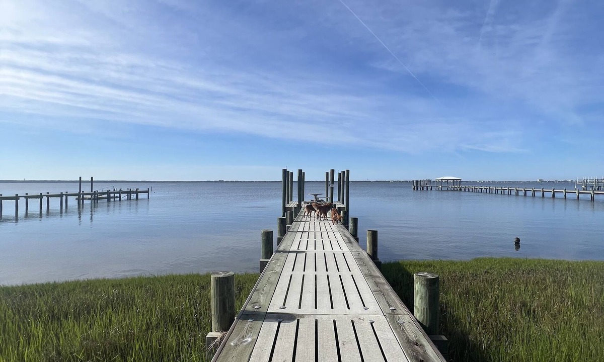Newport House | “The Cottage" Waterfront Access to Bouge Sound!