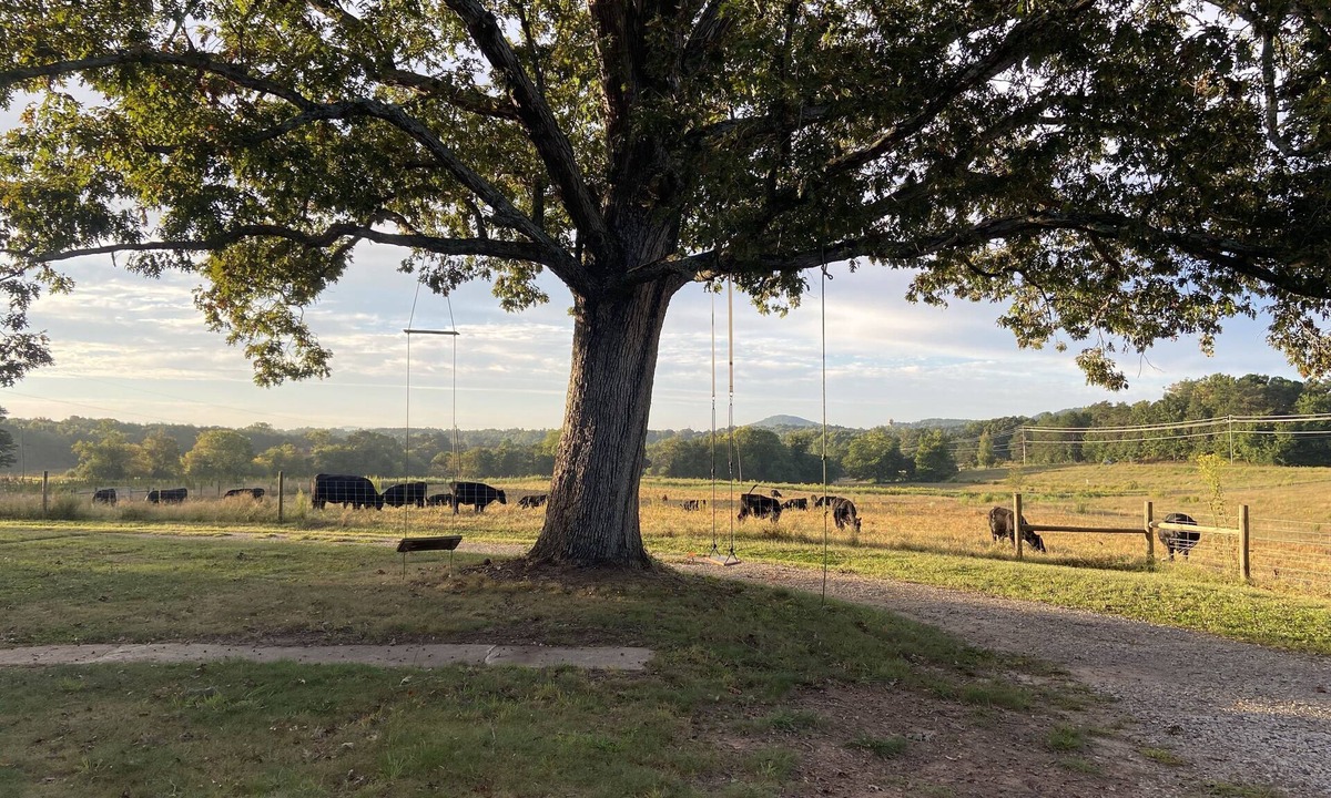 Connellys Springs Other | The Farmhouse at Highlands Family Farms