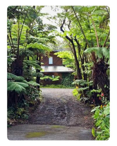Volcano Hotel | The Pacifica Inn