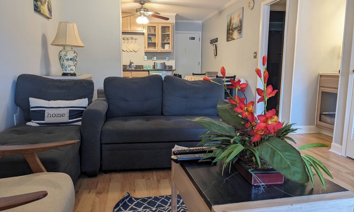 Palmetto Dunes Condo | The Zen Place Weekly and Monthly discount