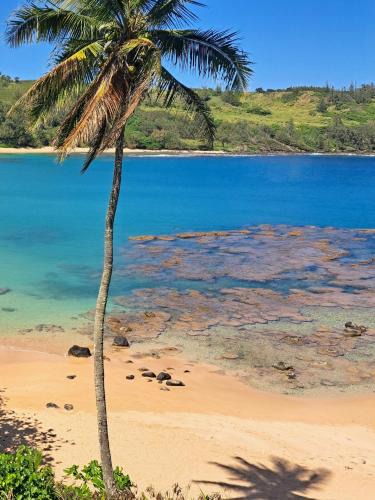 Kilauea House | This is it! Dreamy Beach, Stunning Views, Awesome Location