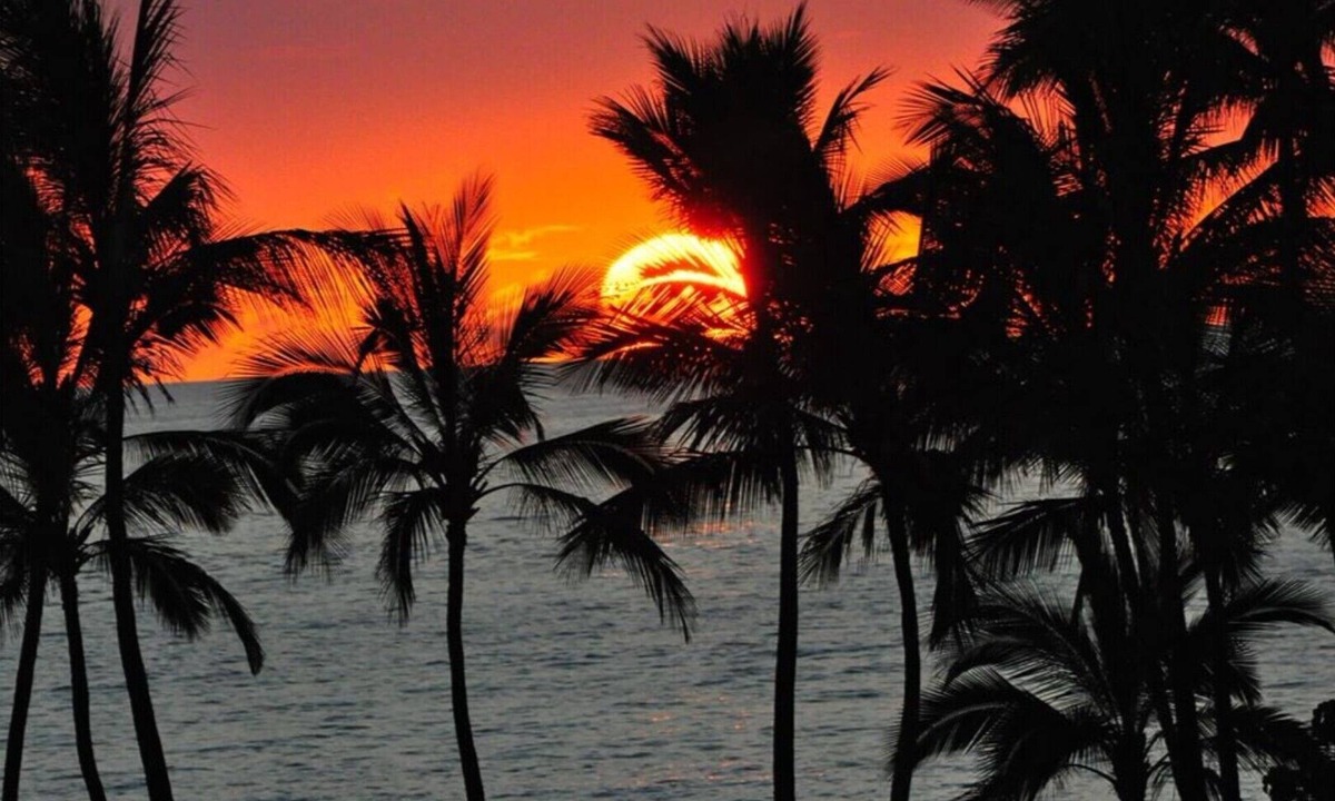 Wailea Condo | Upscale Wailea Maui, Full AC, 1st Fl, Expansive Lanai, Pool & Walk to Beach